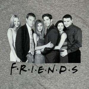 Ripple Junction Friends TV Show Grey T-Shirt Unisex Large New